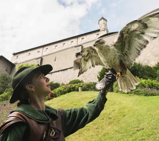 Falknerin mit trainiertem Habicht vor mittelalterlicher Burg auf grünem Hügel